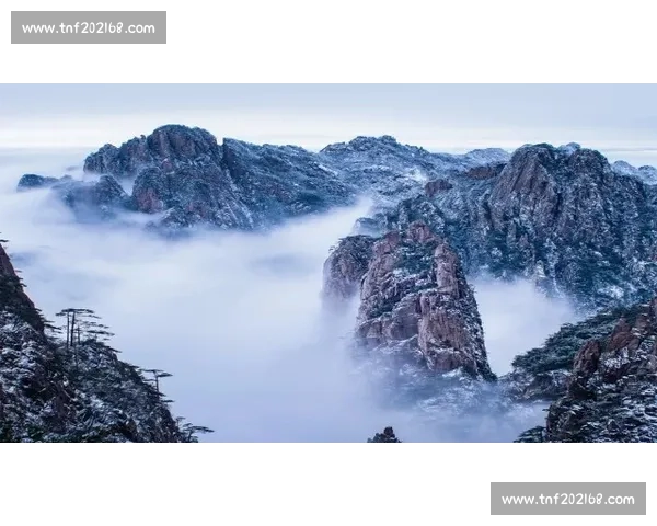 克里琴科巅峰对决回顾：技术与力量的极致碰撞解析